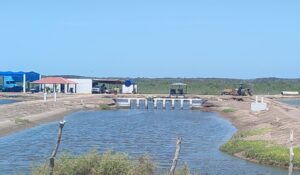 En la quiebra la acuacultura, mantienen 40 mil toneladas acumuladas en bodegas, no hay mercado en México