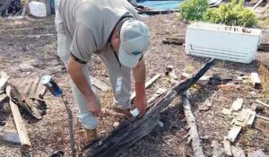 Jurisdiccion Sanitaria en Salvador Alvarado mantiene vigilancia tras detectar caso sospechoso de Chaga en Guamúchil