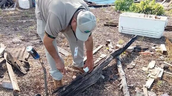 Jurisdiccion Sanitaria en Salvador Alvarado mantiene vigilancia tras detectar caso sospechoso de Chaga en Guamúchil
