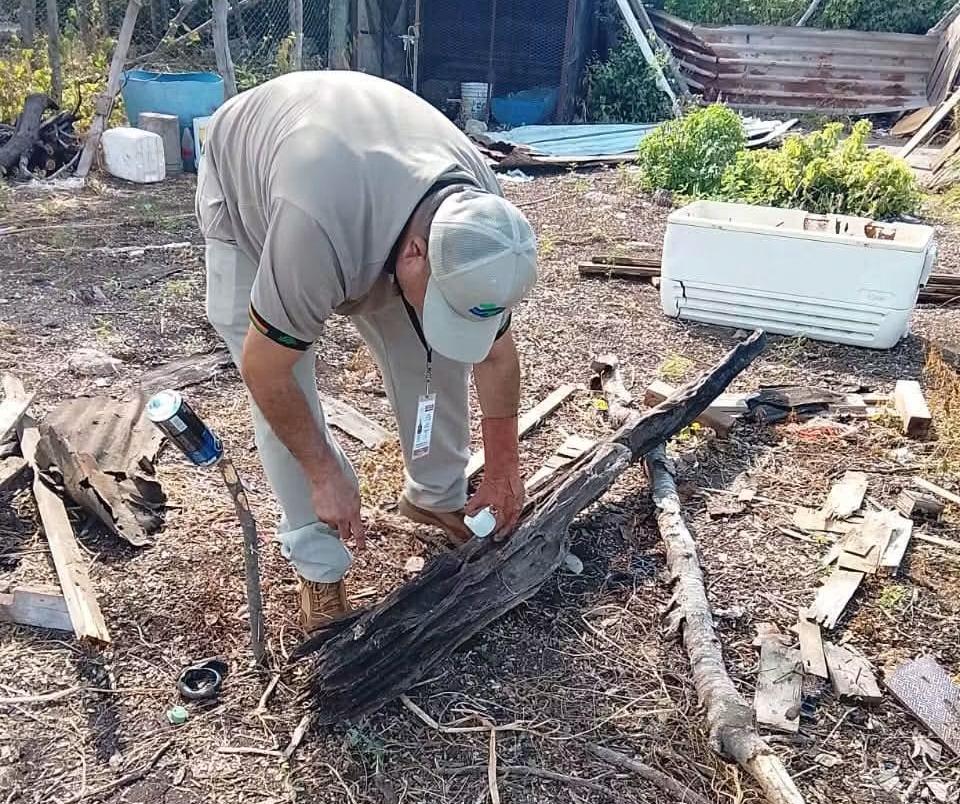 Jurisdiccion Sanitaria en Salvador Alvarado mantiene vigilancia tras detectar caso sospechoso de Chaga en Guamúchil