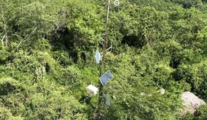 Marina deshabilita tres antenas clandestinas en Mazatlán, Sinaloa; estaban instaladas en zona rural