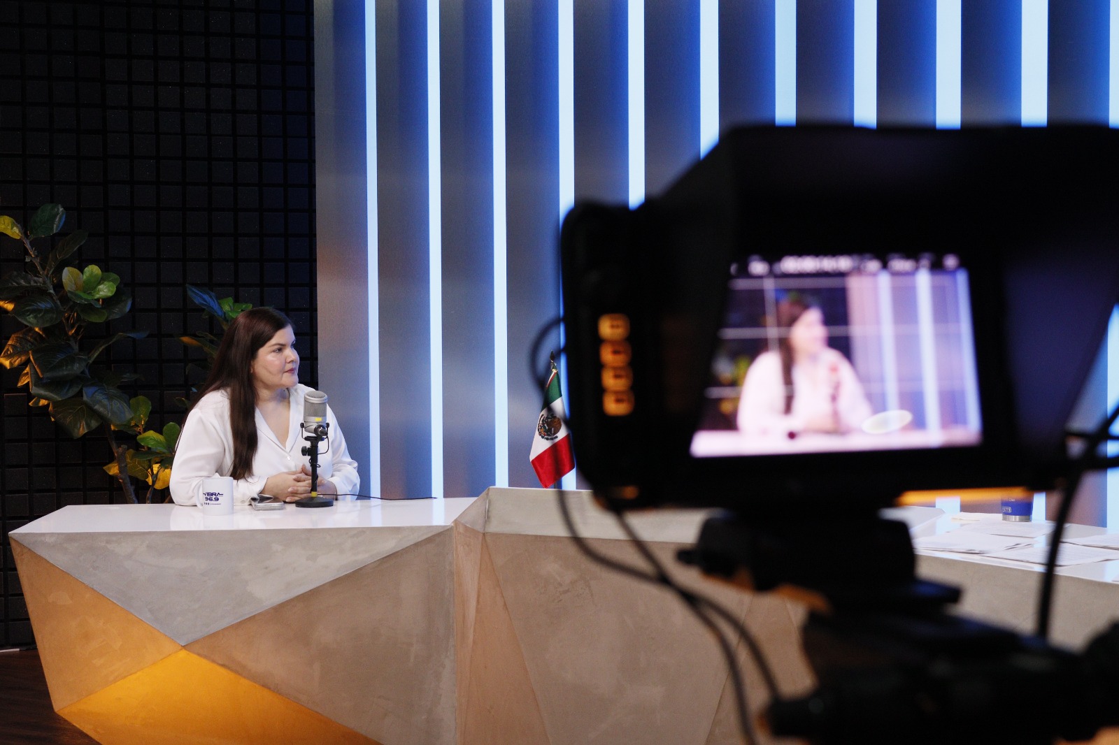 Merary Villegas en entrevista en Los Noticieristas