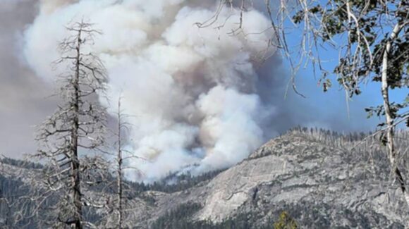 Mueren dos pilotos al caer helicóptero que combatía incendio en Yosemite, California