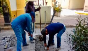 Reparan adoquín y bache de piedra pórfida en el Centro Histórico de Mazatlán, Sinaloa