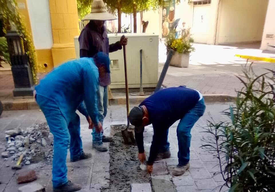 Reparan adoquín y bache de piedra pórfida en el Centro Histórico de Mazatlán, Sinaloa