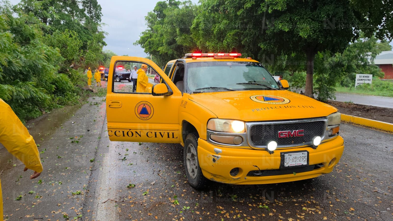 Se registran dos accidentes en Navolato por caída de árboles durante las lluvias