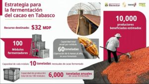 Sheinbaum anuncia inversión para mejorar producción de cacao en Tabasco 2