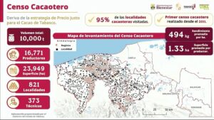 Sheinbaum anuncia inversión para mejorar producción de cacao en Tabasco 3