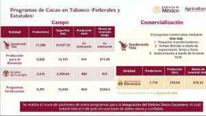 Sheinbaum anuncia inversión para mejorar producción de cacao en Tabasco
