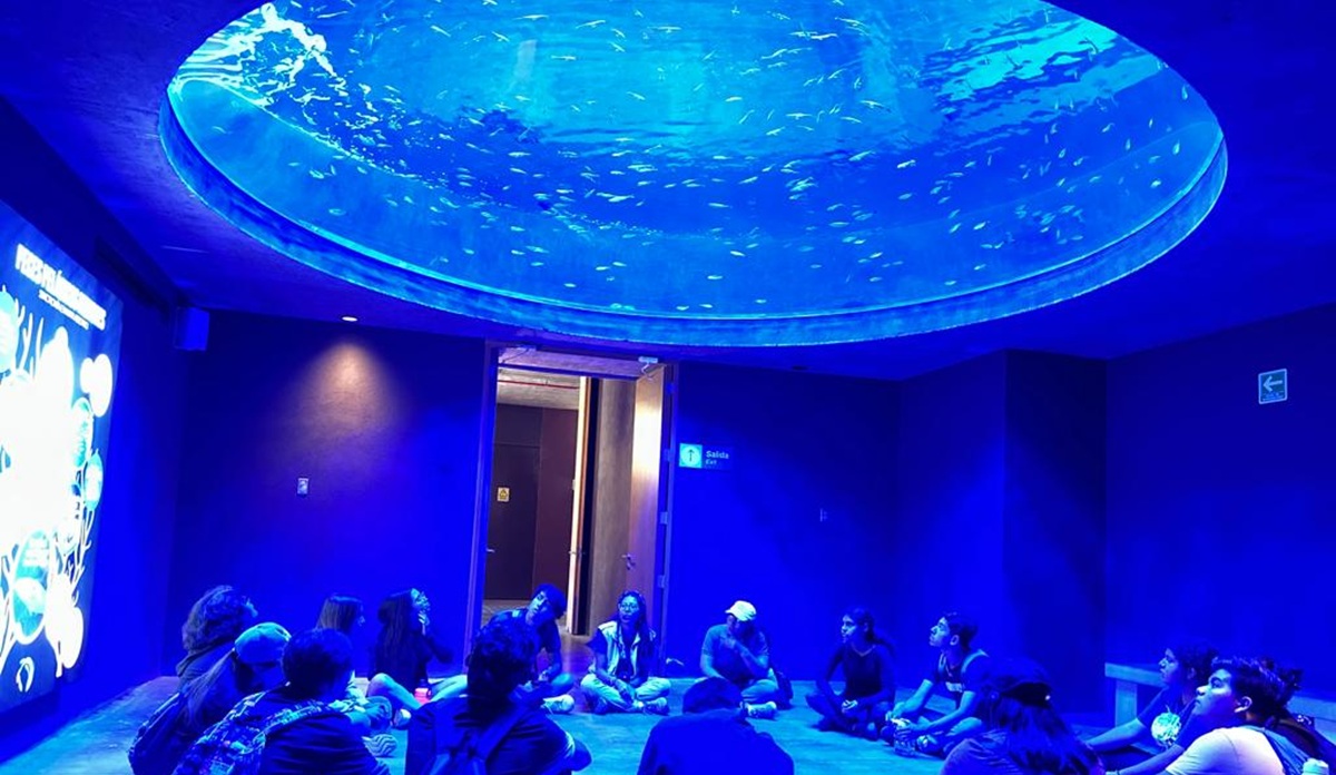 Abren Exploradores del Océano en el Gran Acuario de Mazatlán