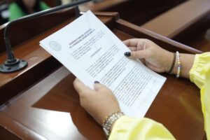 Actividades legislativas
