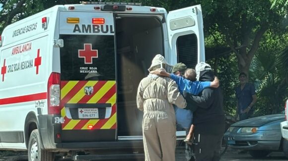 Abejas atacan a adulto mayor en la colonia Ferrusquilla de Los Mochis, Sinaloa