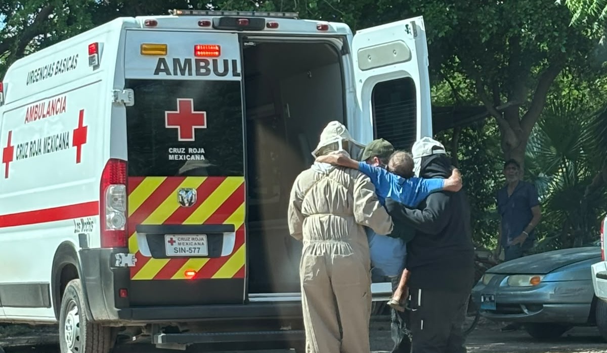 Abejas atacan a adulto mayor en Los Mochis