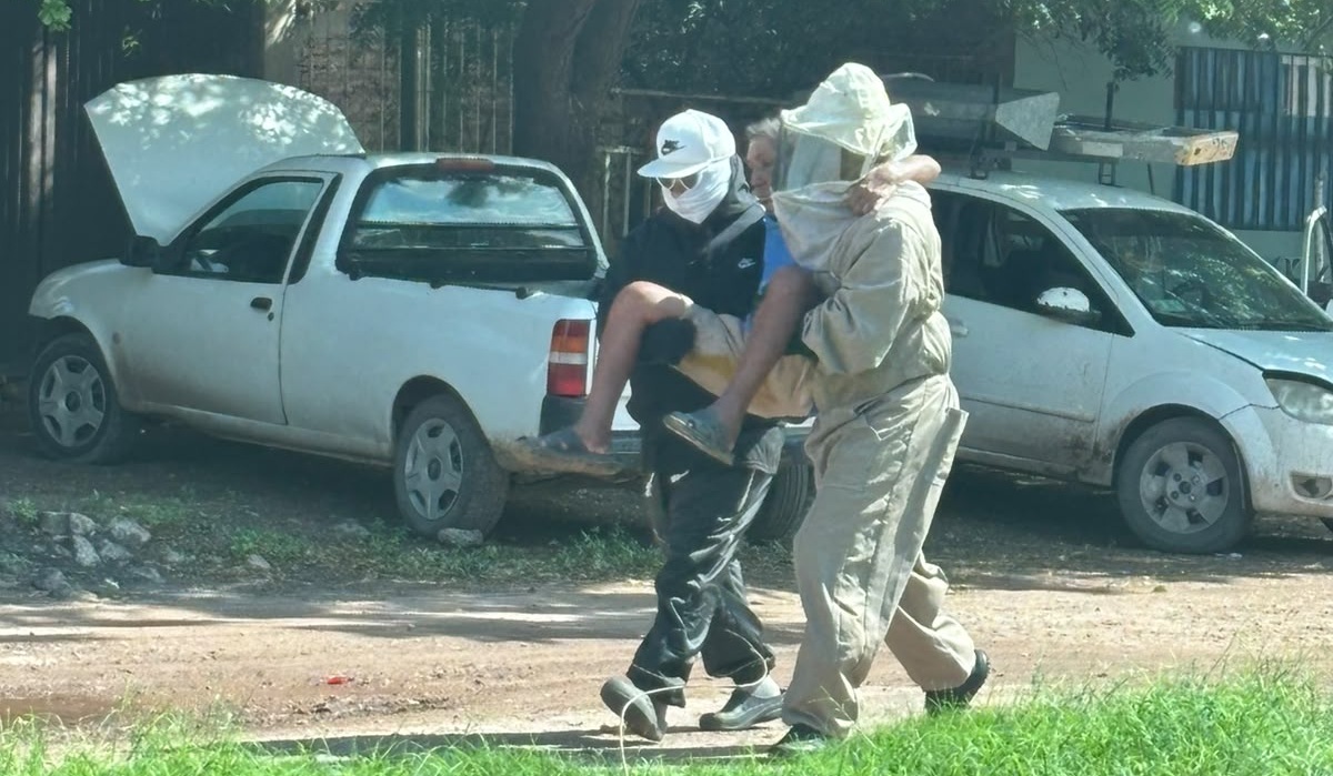 Abejas atacan a adulto mayor en Los Mochis
