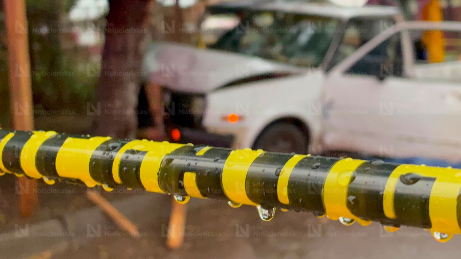 Adulto mayor pierde la vida tras impactarse contra un árbol