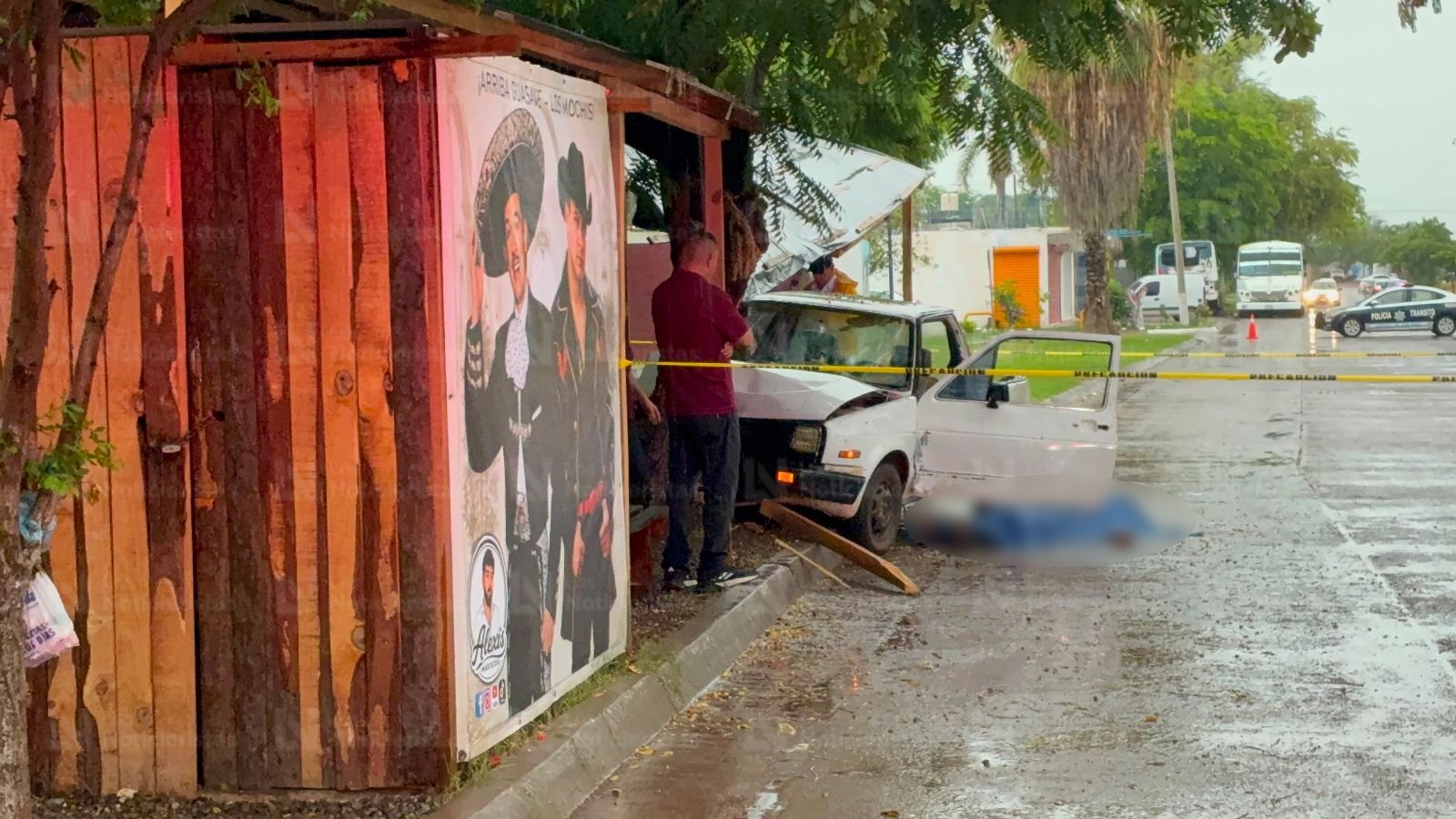 Adulto mayor pierde la vida tras impactarse contra un árbol
