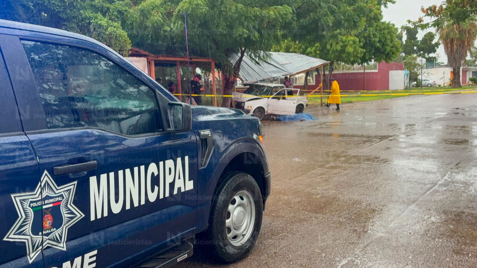 Adulto mayor pierde la vida tras impactarse contra un árbol