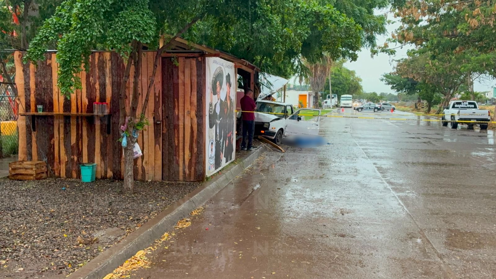 Adulto mayor pierde la vida tras impactarse contra un árbol