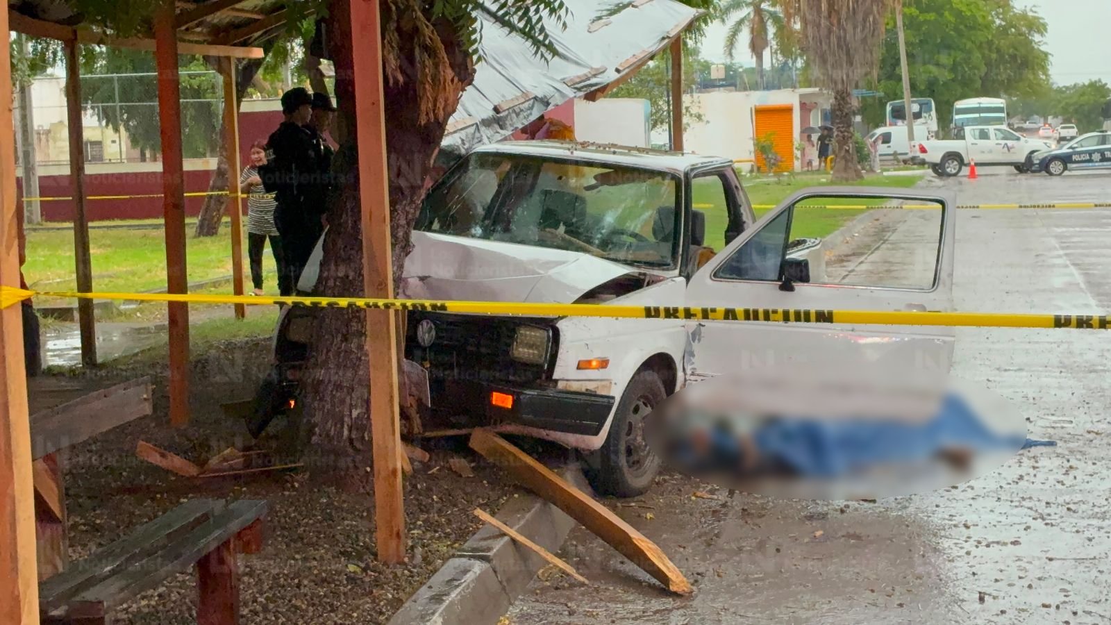Adulto mayor pierde la vida tras impactarse contra un árbol