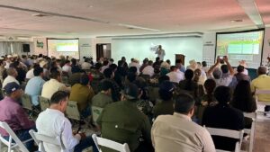 Agricultores de Guasave
