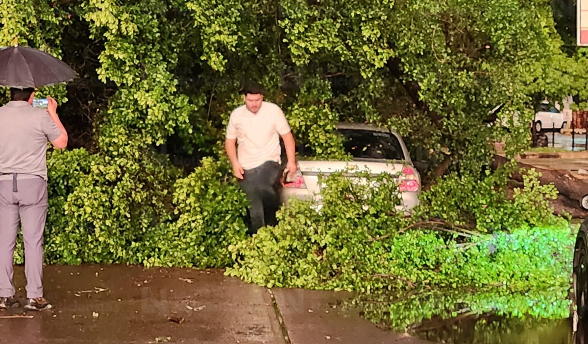 Árbol cae sobre vehículo sobre Insurgentes, tras fuerte tormenta en Culiacán
