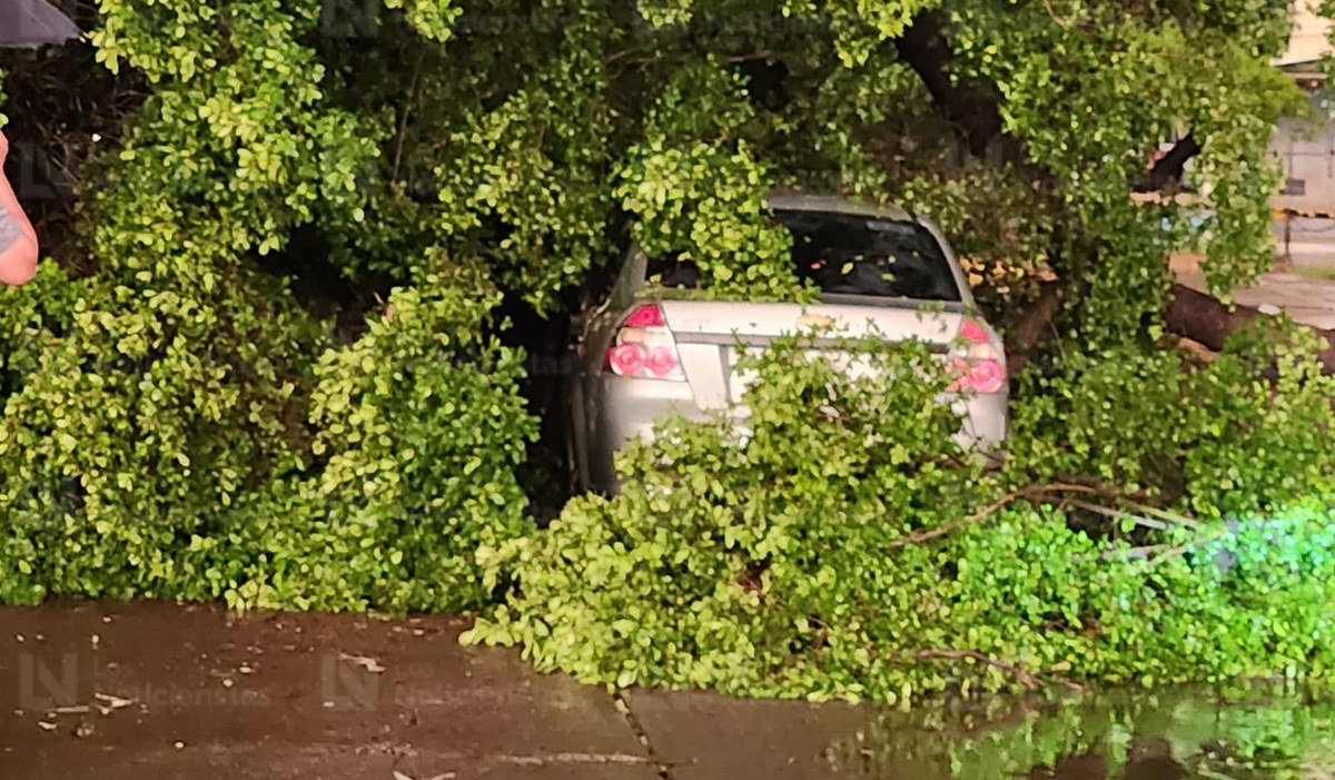 Árbol cae sobre vehículo sobre Insurgentes, tras fuerte tormenta en Culiacán