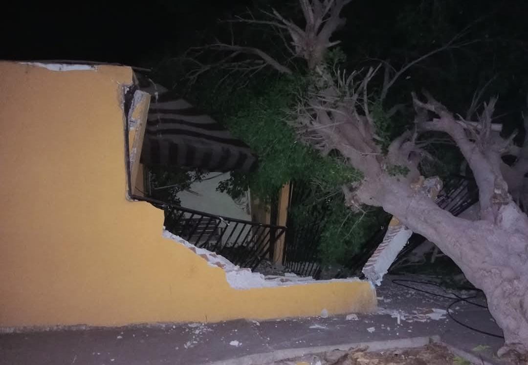 Árbol caído por fuerte racha de viento en Los Mochis