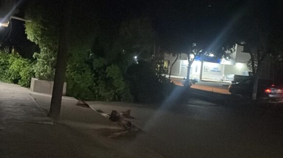 Árboles caídos e interrupción en energía eléctrica dejaron lluvias recientes en Sinaloa; las precipitaciones continuarán: PC Estatal