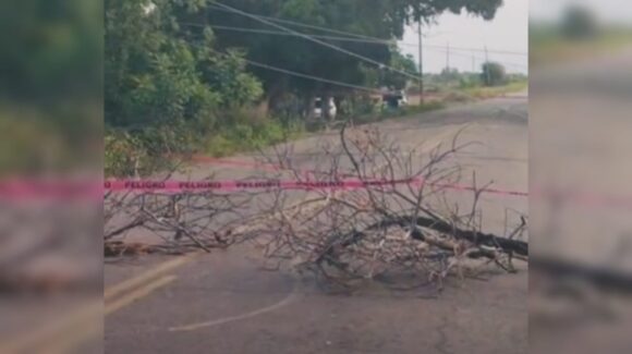 Vientos derriban árboles y postes, bloqueando la carretera entre León Fonseca y Sinaloa de Leyva