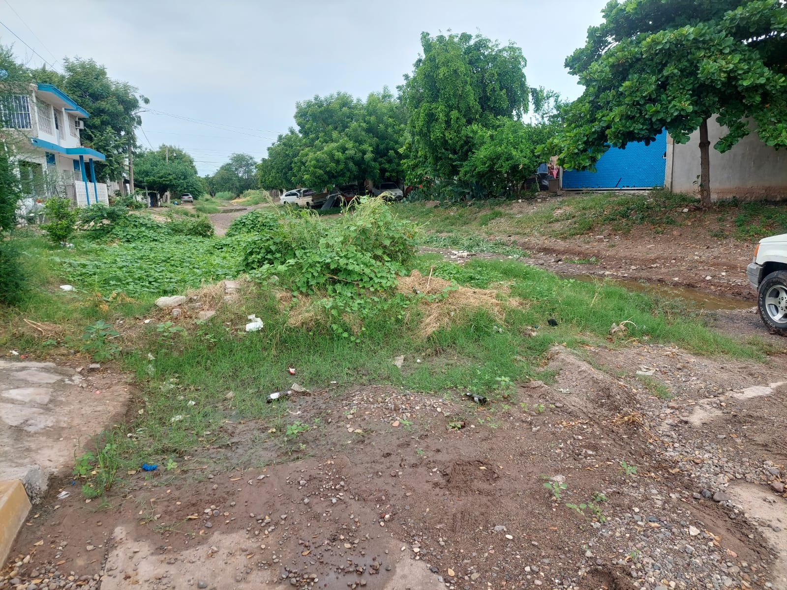 Vecinos piden rehabilitar arroyo que pasa por la colonia Cuauhtémoc, en Guamúchil