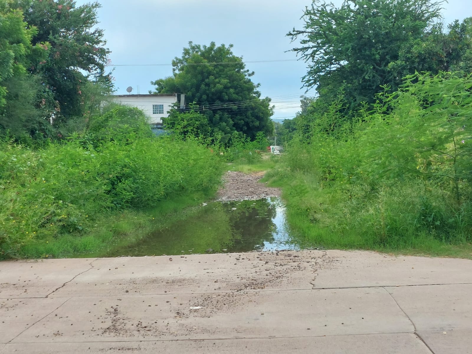 Vecinos piden rehabilitar arroyo que pasa por la colonia Cuauhtémoc, en Guamúchil