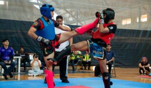 Artes Marciales