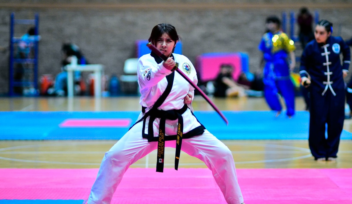 Artes Marciales