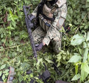 aseguran armas en concordia sinaloa