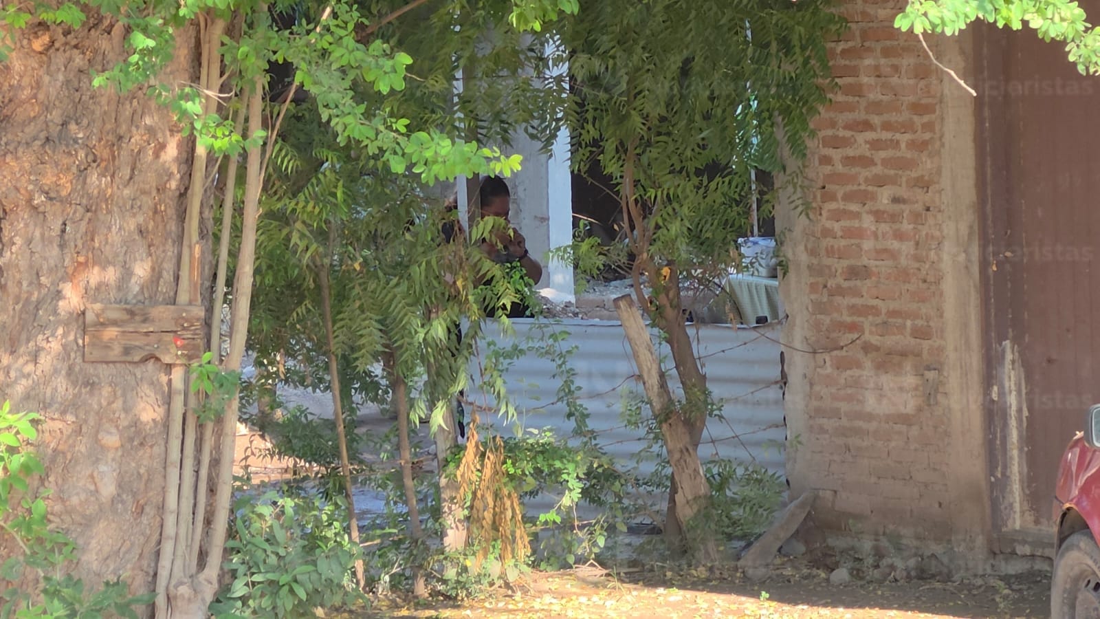 Asesinan a mujer comerciante en la colonia 5 de Febrero, en Culiacán