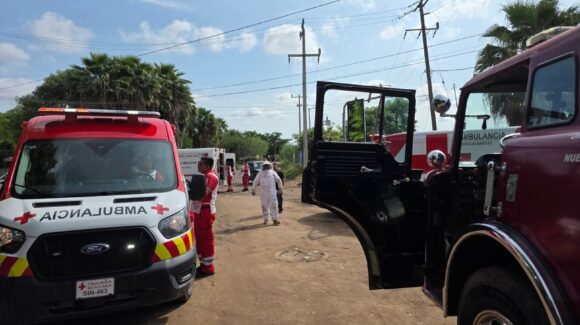 Siete personas lesionadas, entre ellas niños y adultos mayores, deja ataque de abejas en Juan José Ríos, Sinaloa