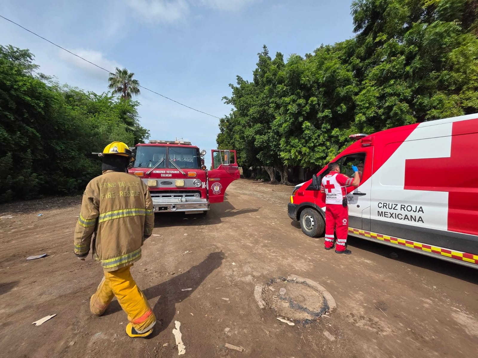 Ataque de abejas en Juan José Ríos