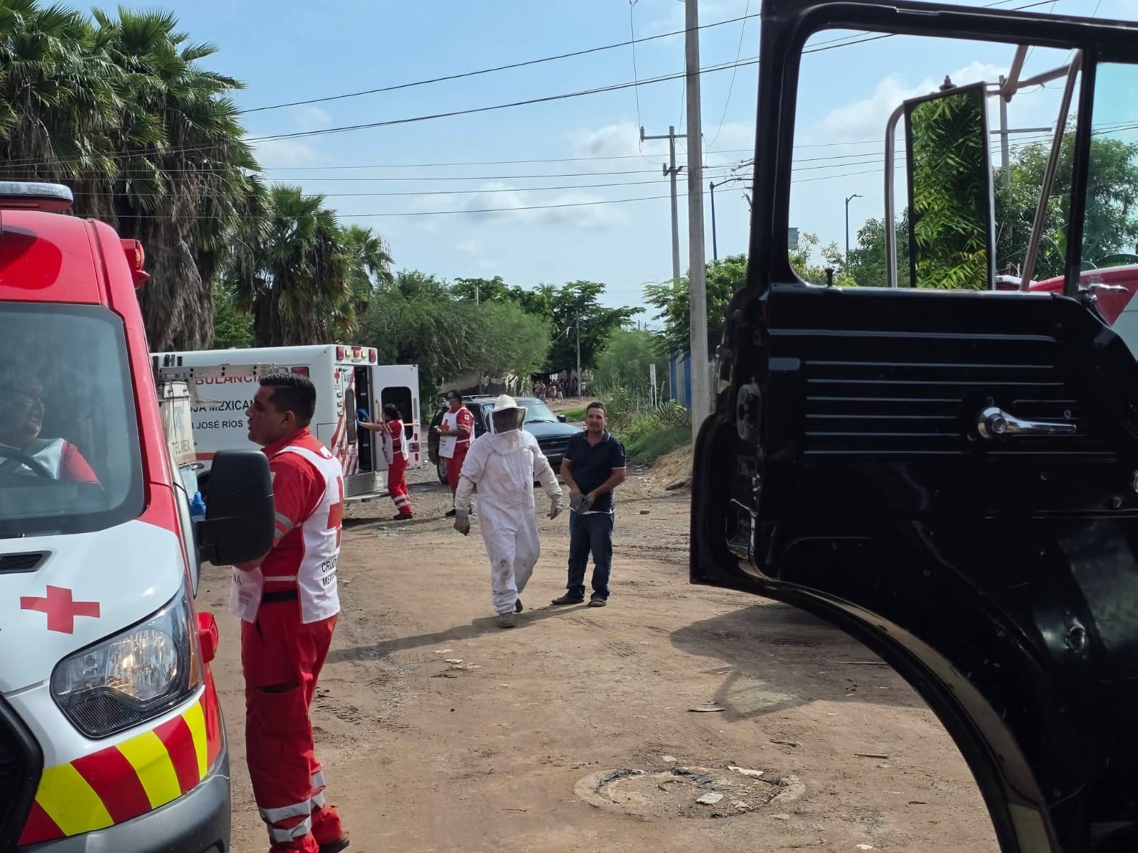 Ataque de abejas en Juan José Ríos