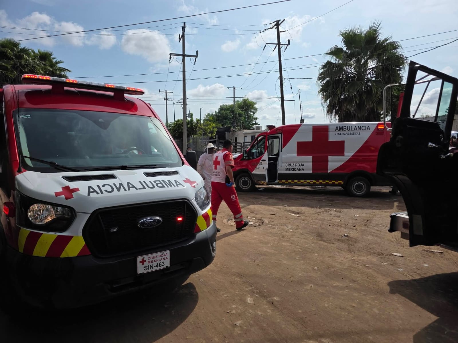 Ataque de abejas en Juan José Ríos