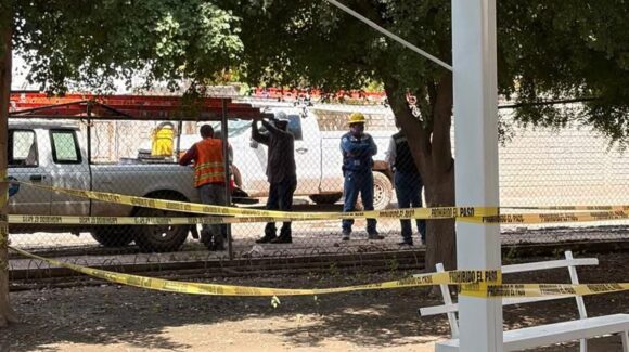Atienden CFE y la SEPyC poda de árboles electrificados en primaria de El Tajito, Guasave, Sinaloa