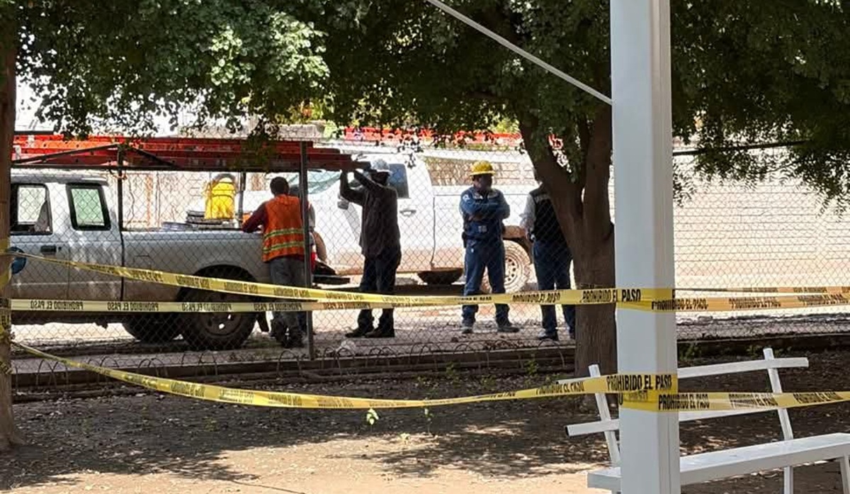 Atienden CFE y SEPyC árboles electrificados en primaria de El Tajito, Guasave