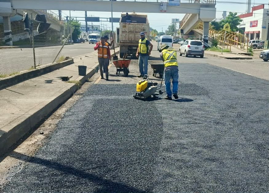 Bacheo en Mazatlán