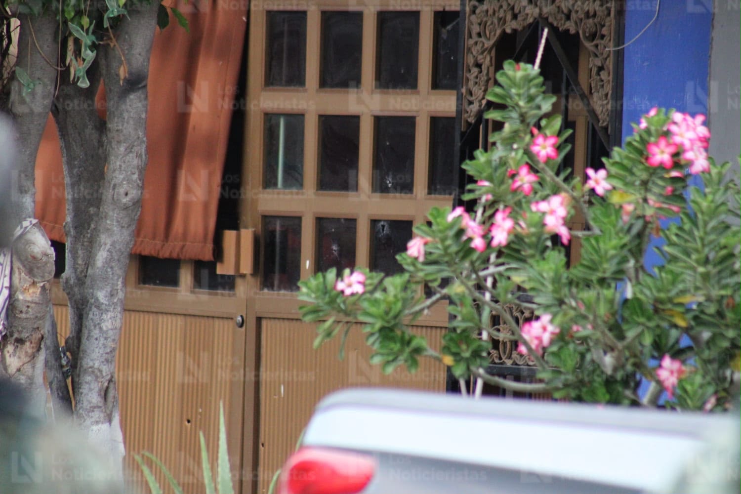 Balean vivienda en la colonia Juárez, en Mazatlán