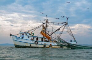 Barco camaronero