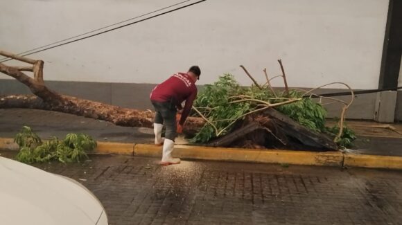 Lluvias en Culiacán dejan 1.7 toneladas de basura, 21 árboles caídos y reparación de postes