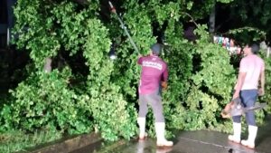 basura en culiacan por lluvias arboles
