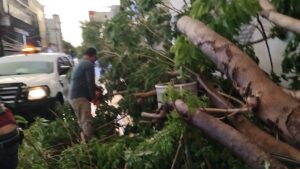 basura en culiacan por lluvias trabajador