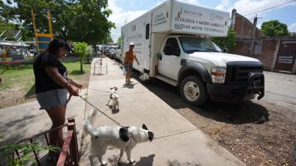 ¡Aprovecha! Esterilización de mascotas llega al Teodoro Mariscal de Mazatlán, Sinaloa; acá te damos los detalles