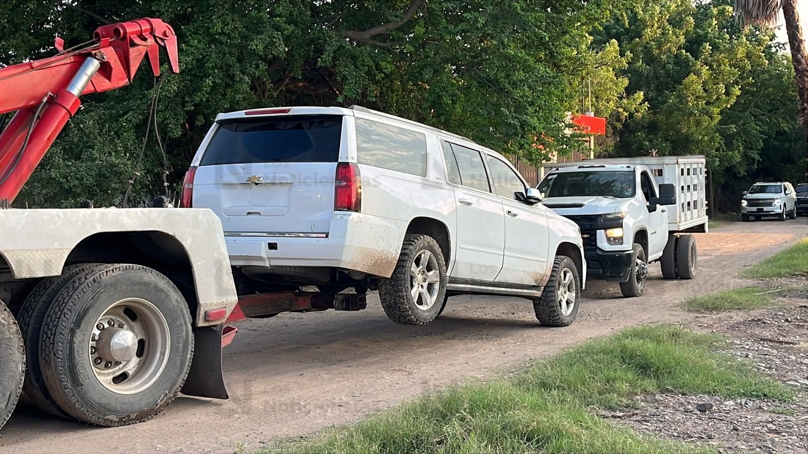 Trasladan los camionetas decomisadas en vivienda de la colonia Las Golondrinas de Guasave,