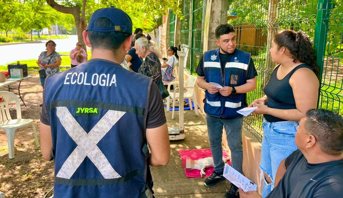Campaña de esterilización de perros y gatos en Mazatlán